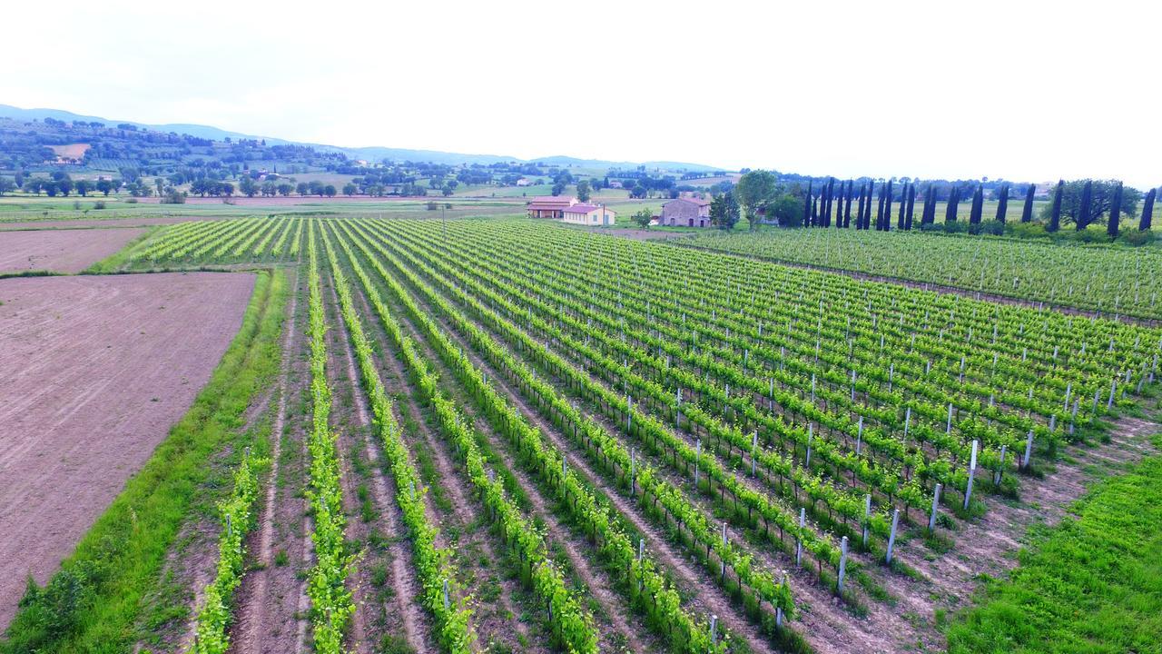 Le Bevagna